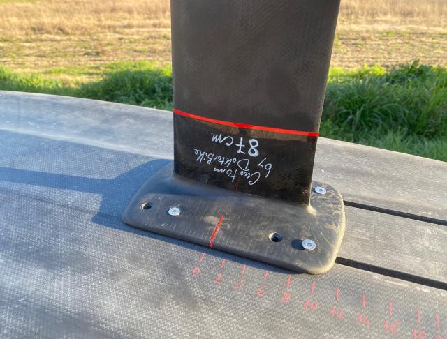 particolare dell'albero