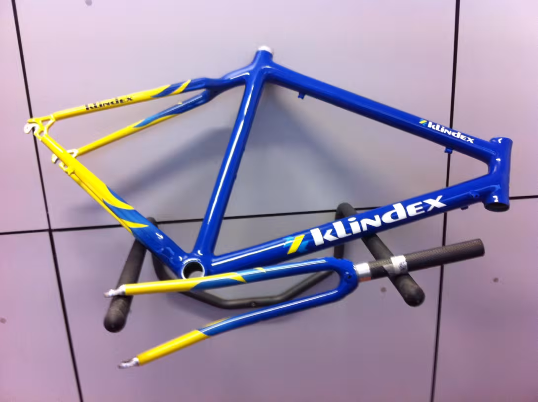 BIKE COLOR - telaio personalizzato con verniciatura che riprende i colori della squadra